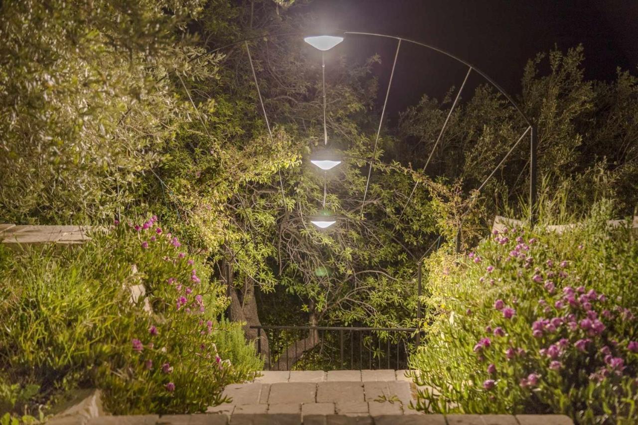 Tenuta Olive Alive Ното Экстерьер фото