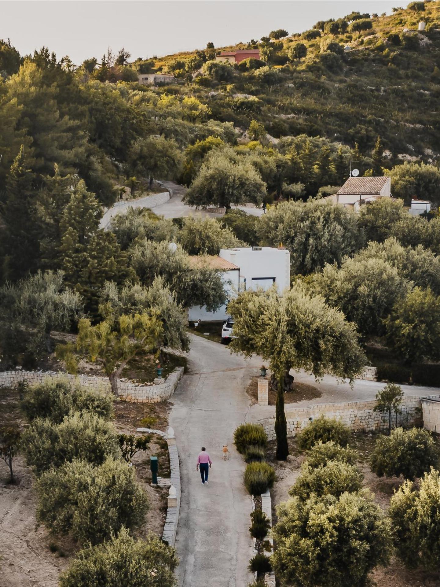 Tenuta Olive Alive Ното Номер фото