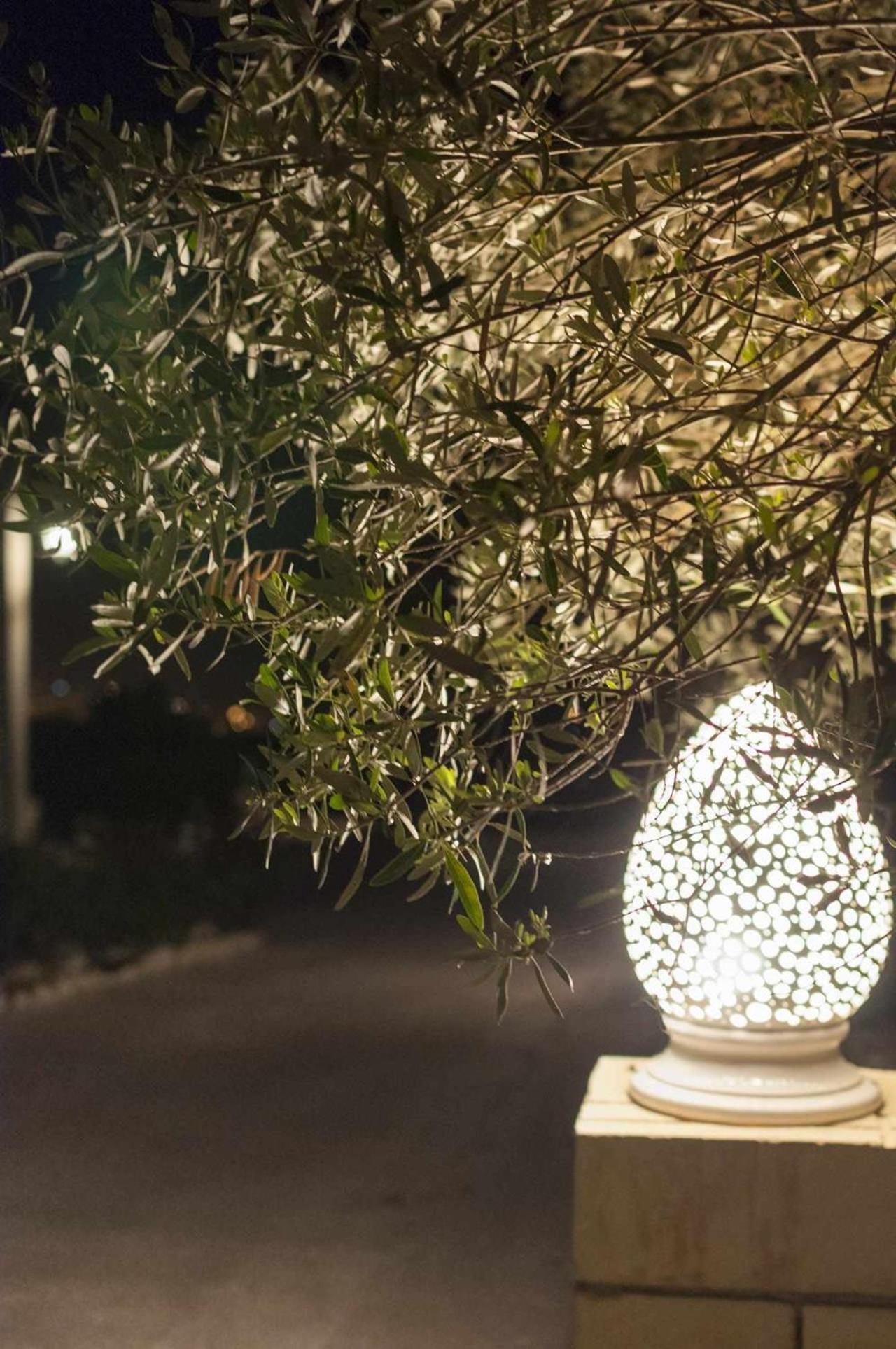Tenuta Olive Alive Ното Экстерьер фото