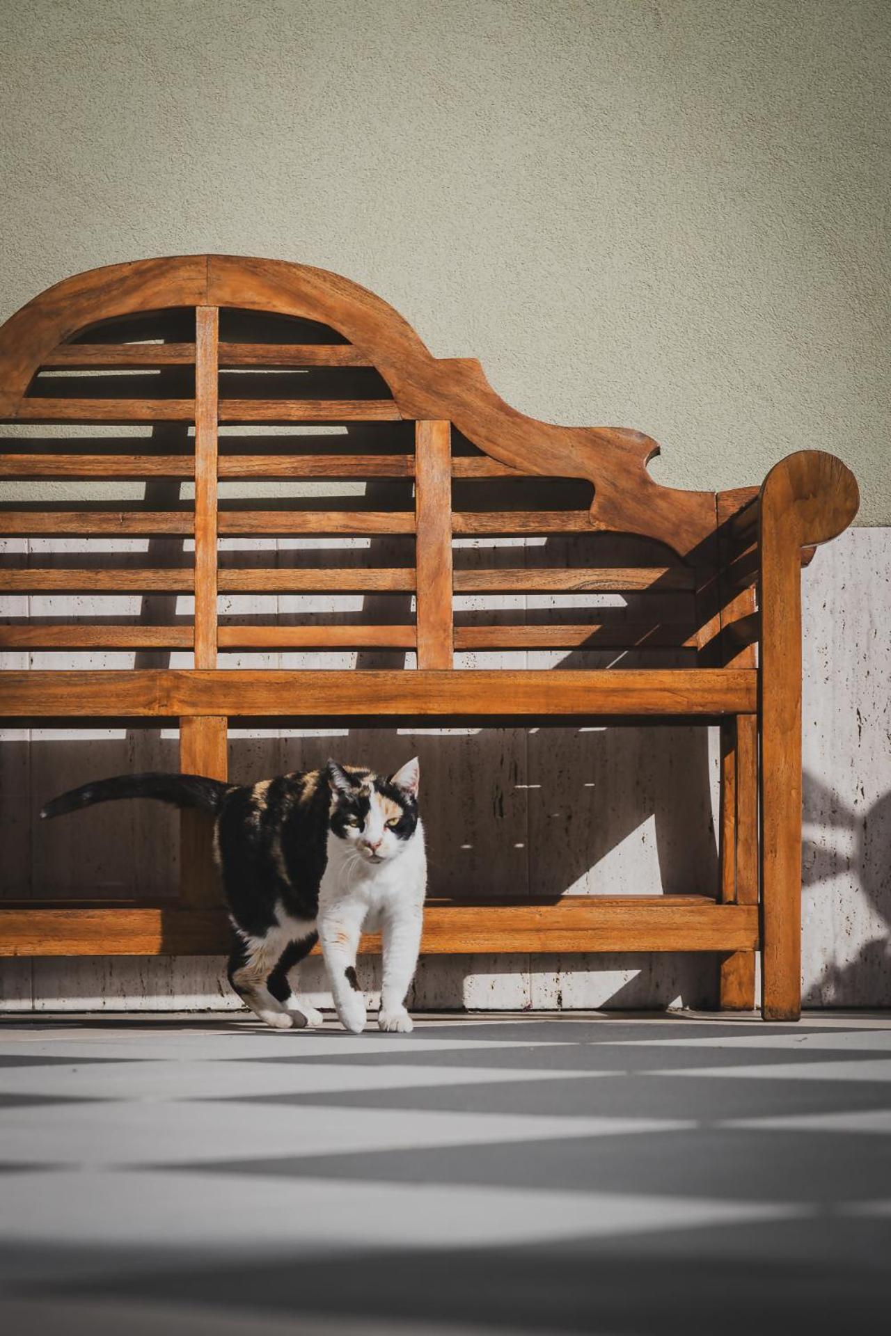 Tenuta Olive Alive Ното Экстерьер фото