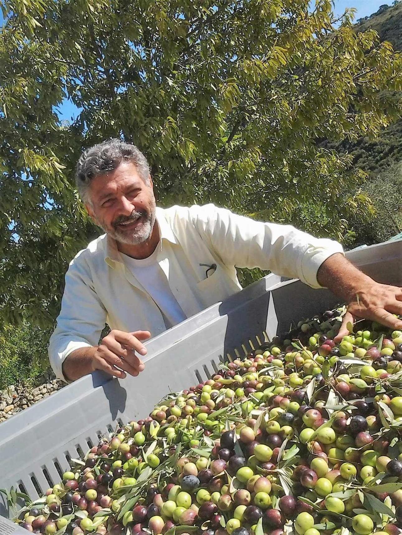 Tenuta Olive Alive Ното Экстерьер фото